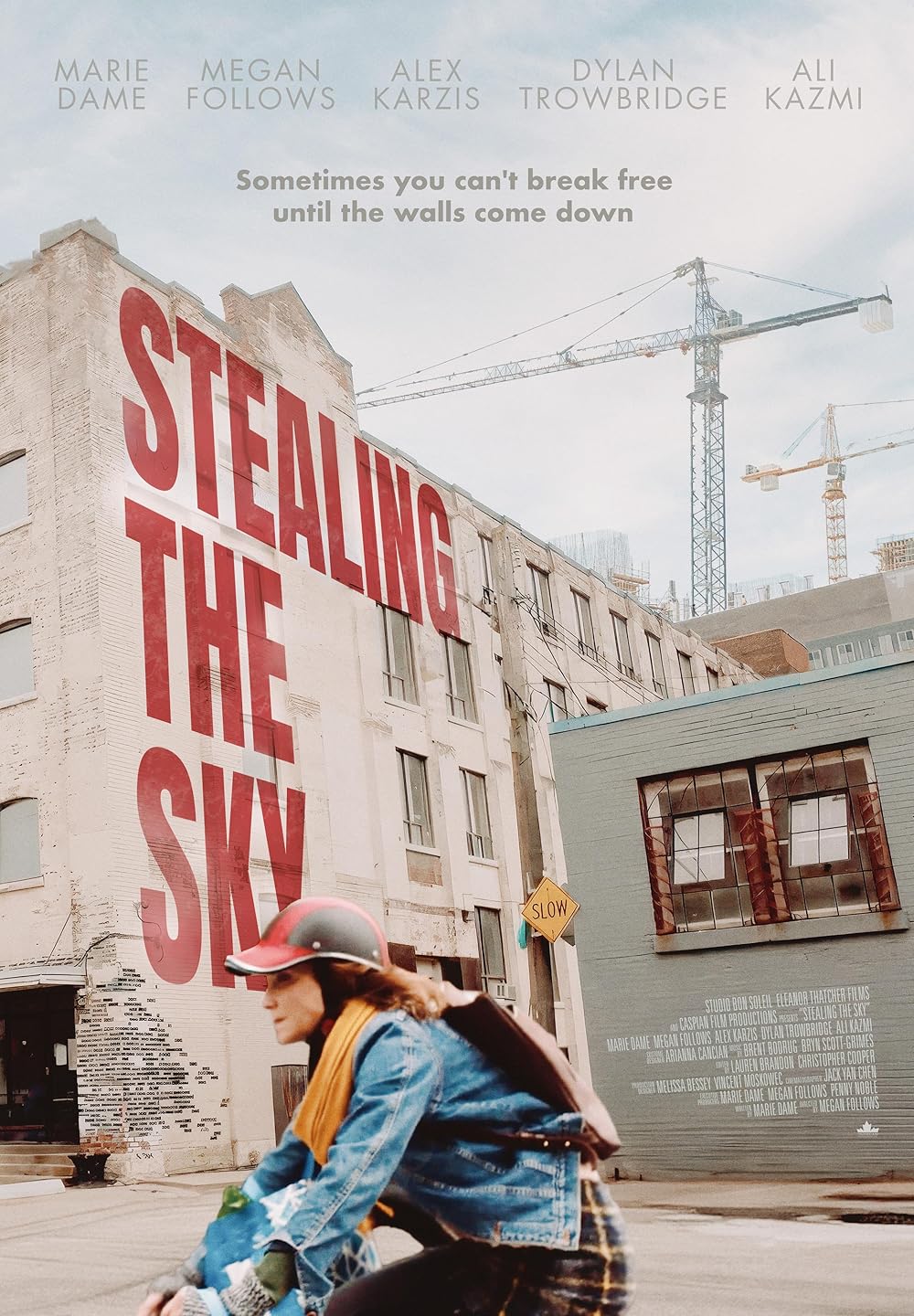 affiche du film Stealing the Sky