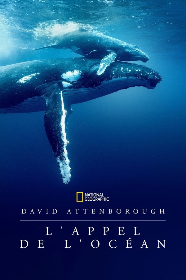 affiche du film David Attenborough : L'Appel de l'Océan