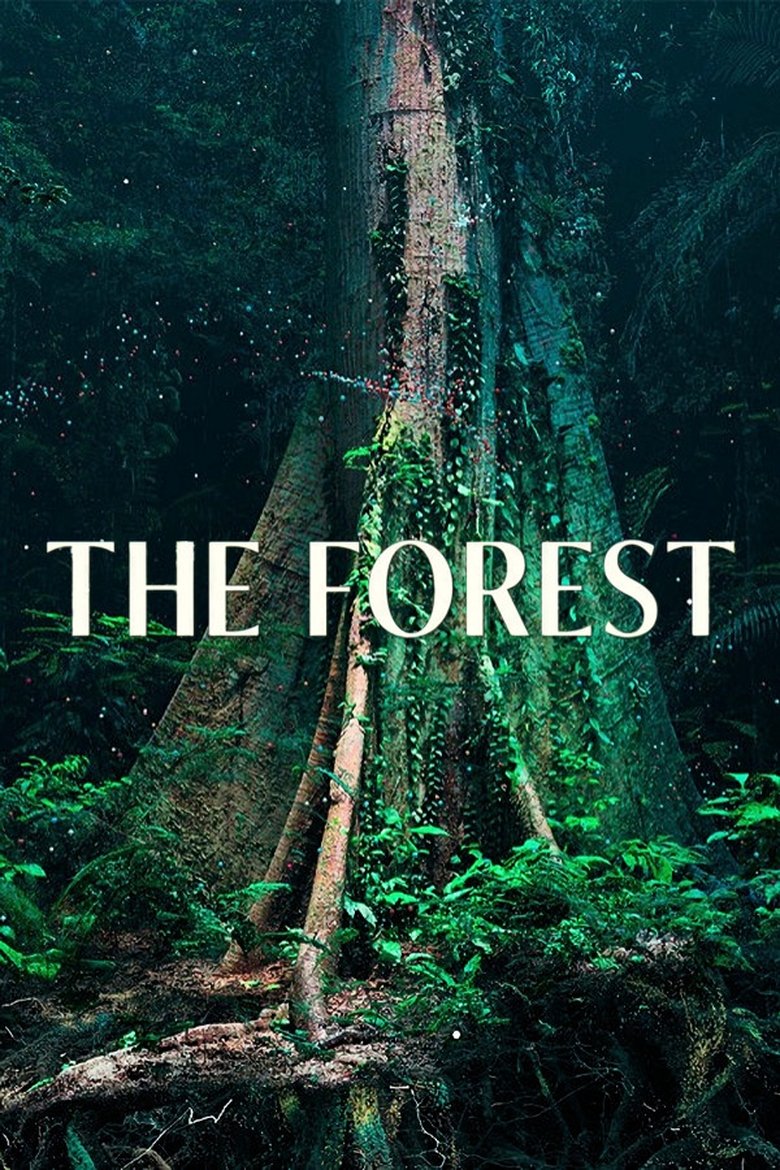 affiche du film Le Monde secret des Forêts