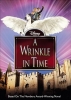 A Wrinkle in Time