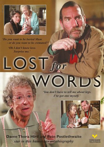 affiche du film Lost for Words