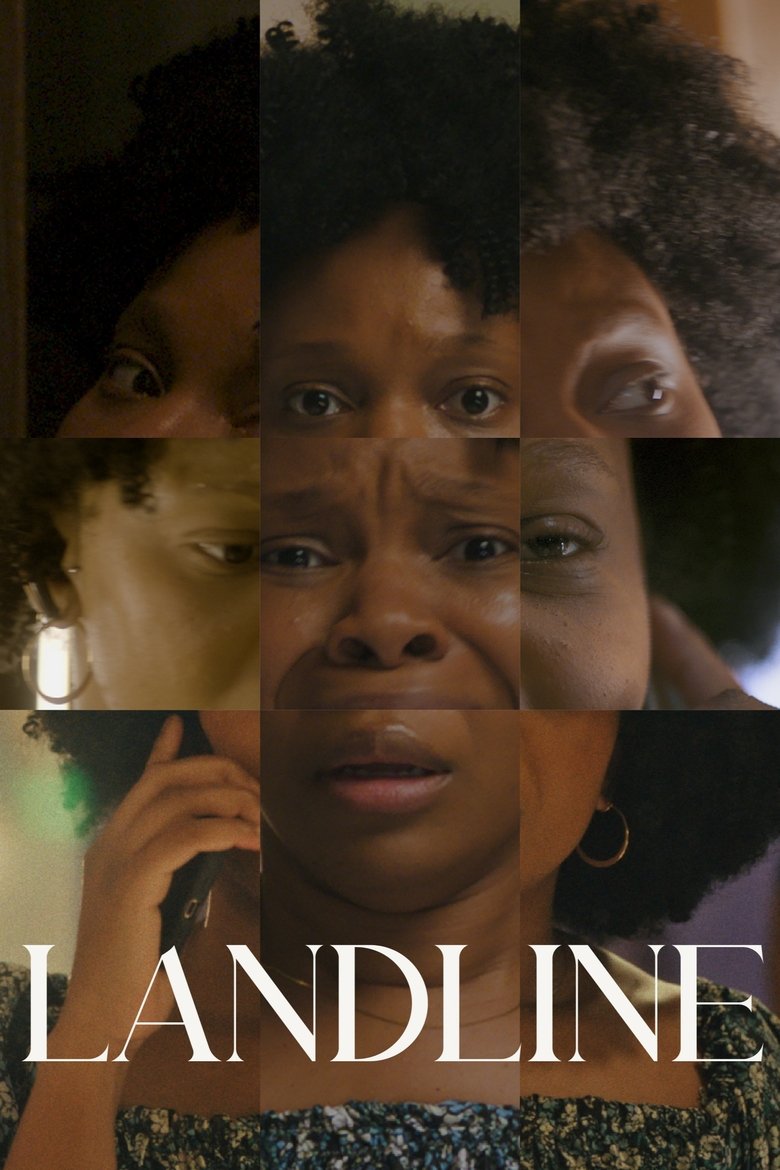 affiche du film Landline