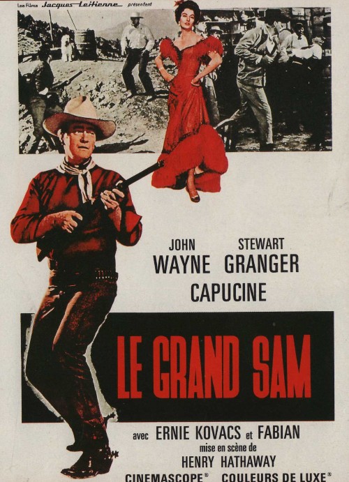 affiche du film Le Grand Sam
