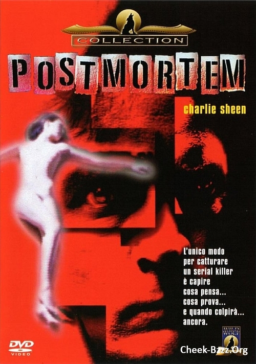 affiche du film Postmortem