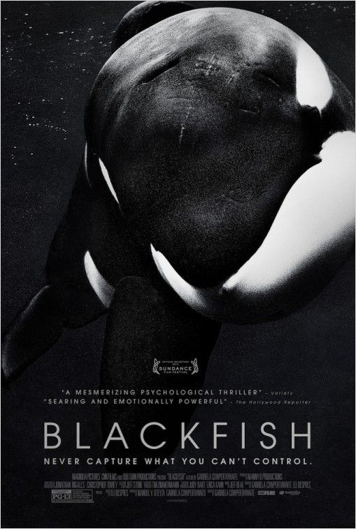 affiche du film Blackfish
