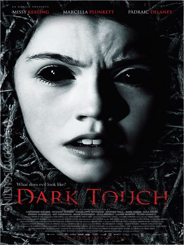 affiche du film Dark Touch