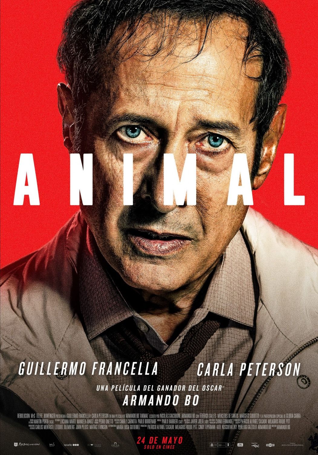 affiche du film Animal