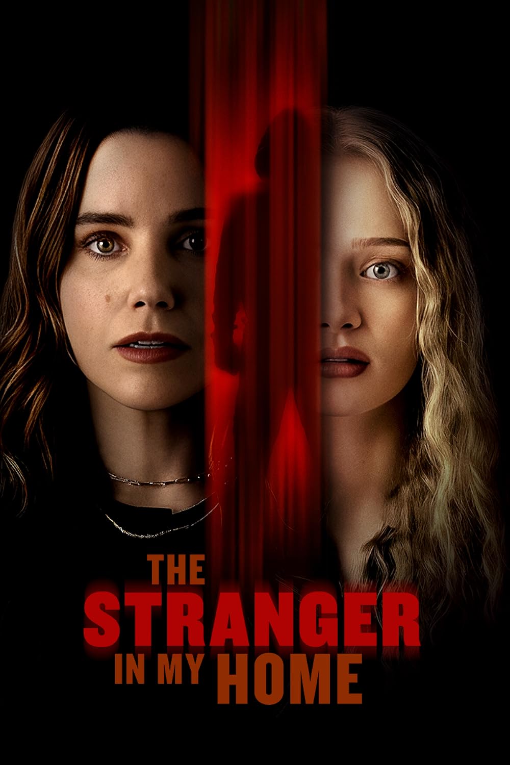 affiche du film The Stranger in My Home