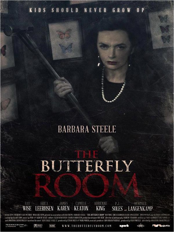 affiche du film The Butterfly Room