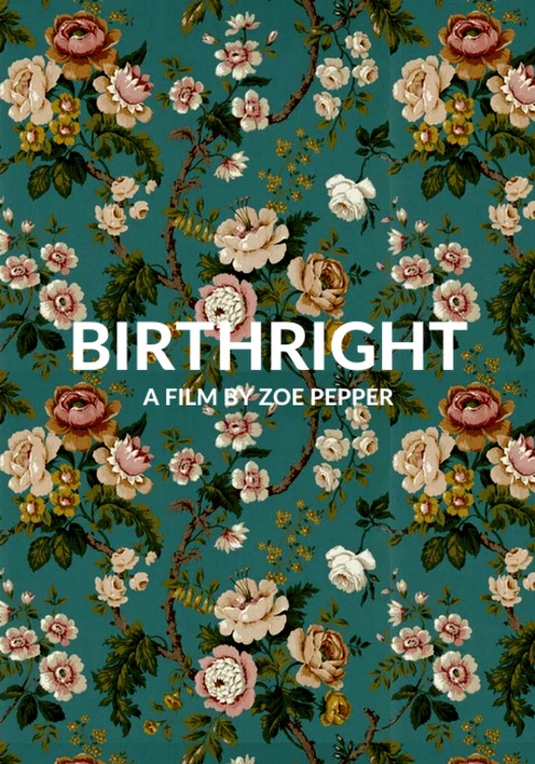 affiche du film Birthright
