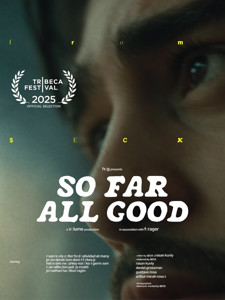 affiche du film So Far All Good