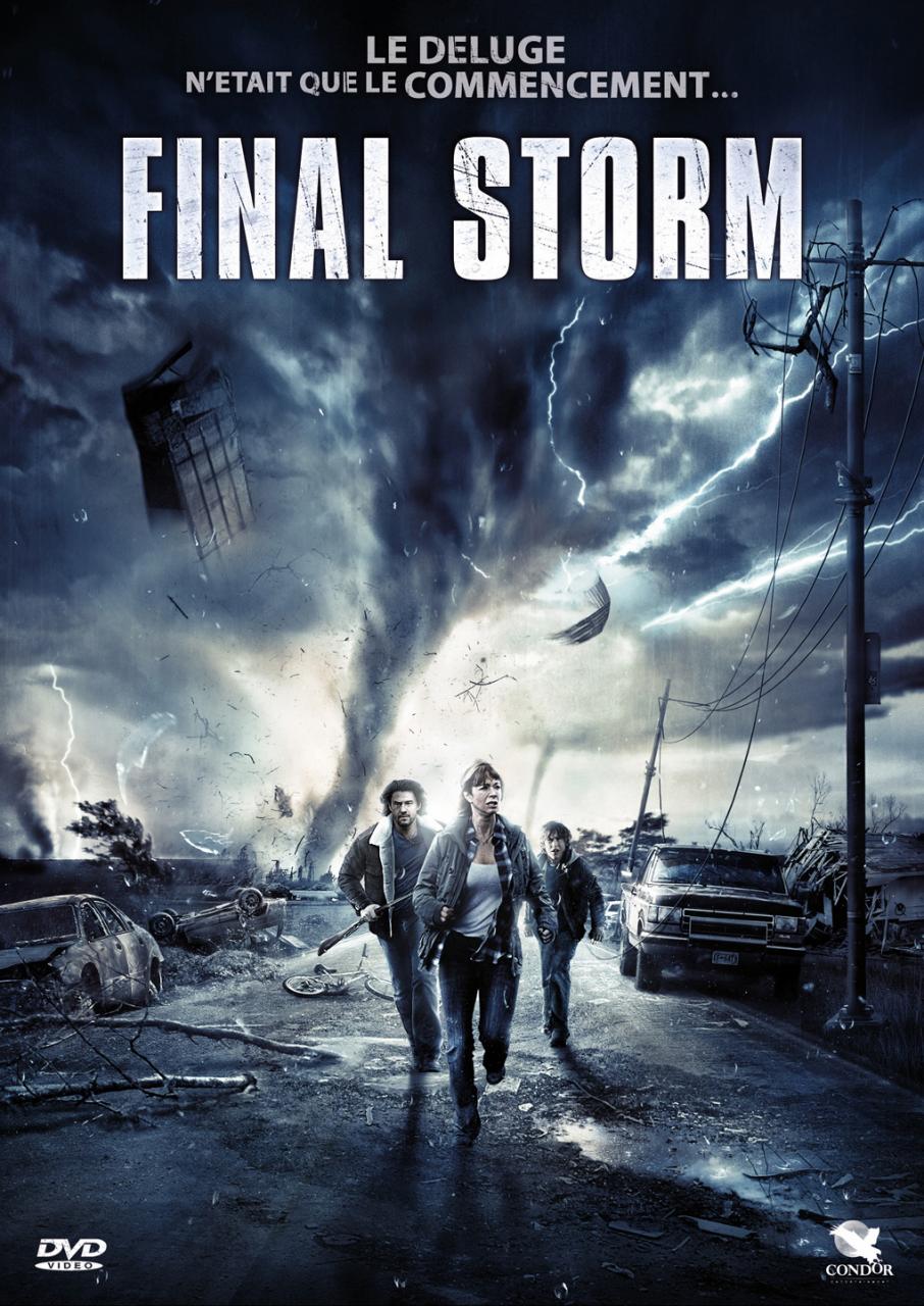 affiche du film Final Storm
