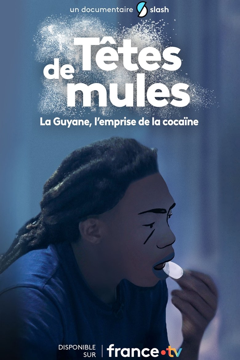 affiche du film Têtes de mules : La Guyane, l'emprise de la cocaïne
