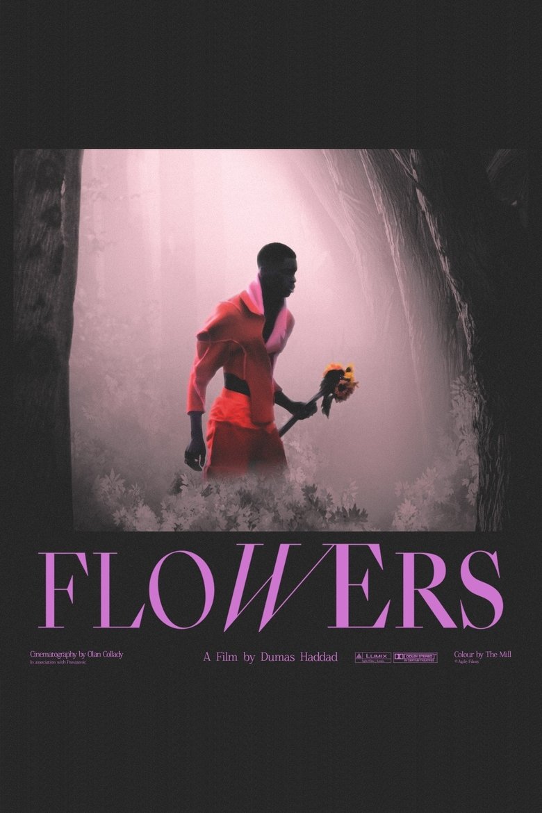 affiche du film Flowers