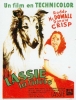 Lassie, Come Home
