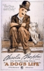 Une Vie de chien (A dog's life)