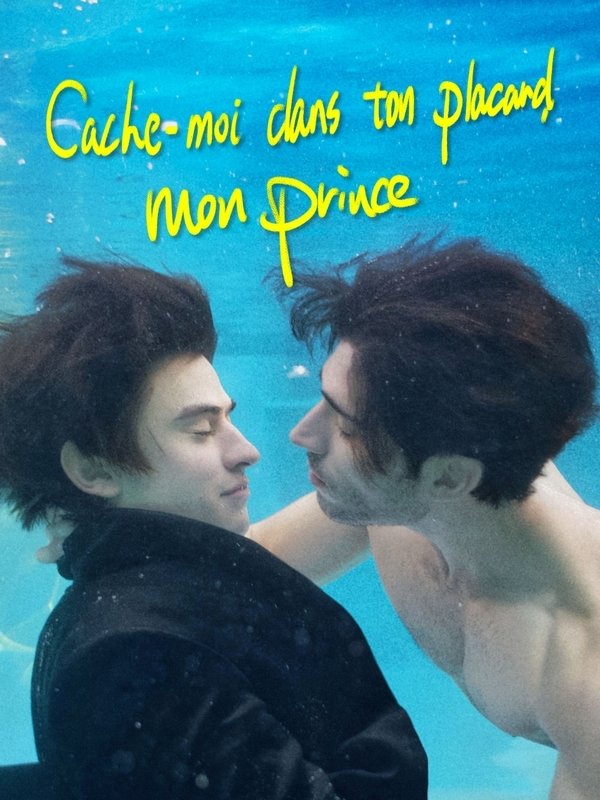 affiche du film Cache-moi dans ton placard mon prince