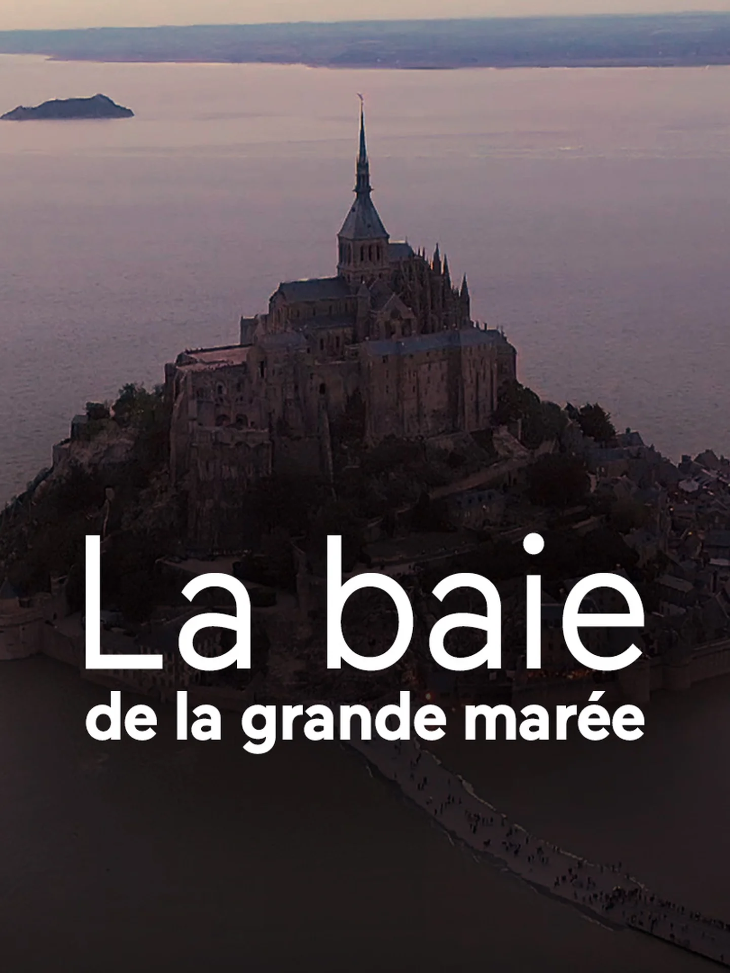 affiche du film La baie de la grande marée