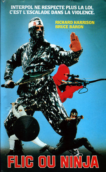 affiche du film Ninja champion