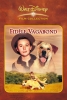 Fidèle vagabond (Old Yeller)