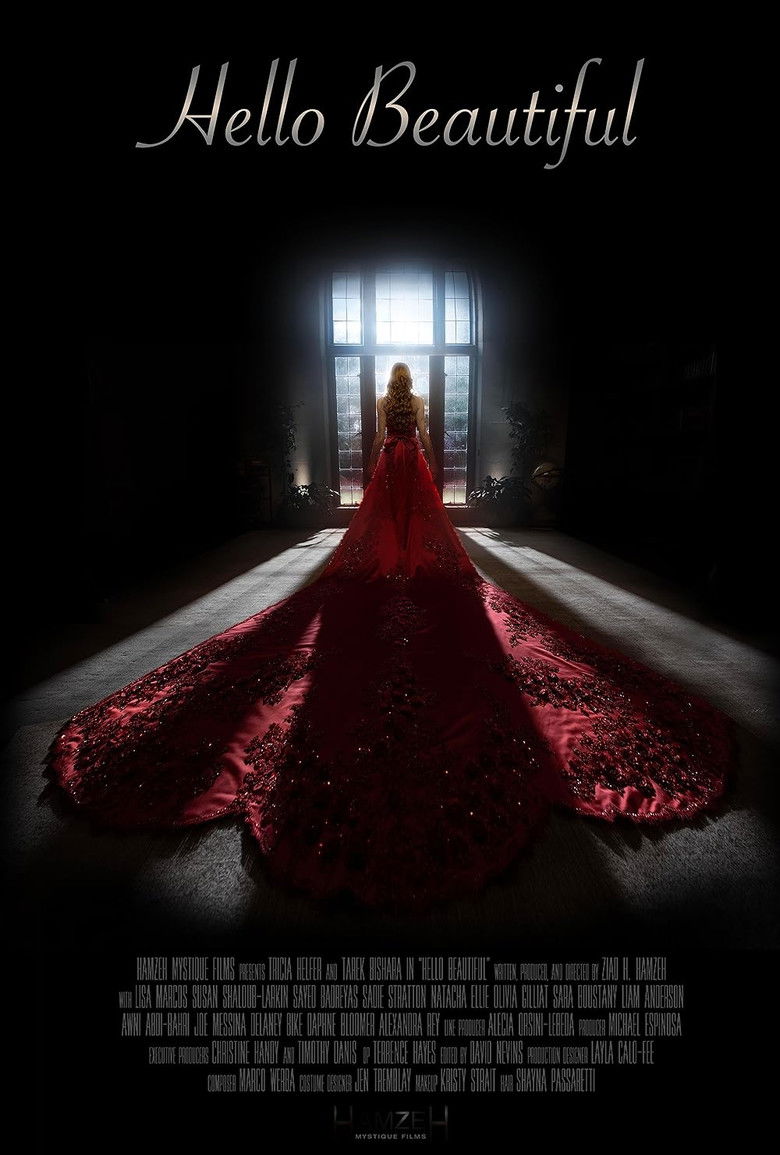 affiche du film Hello Beautiful