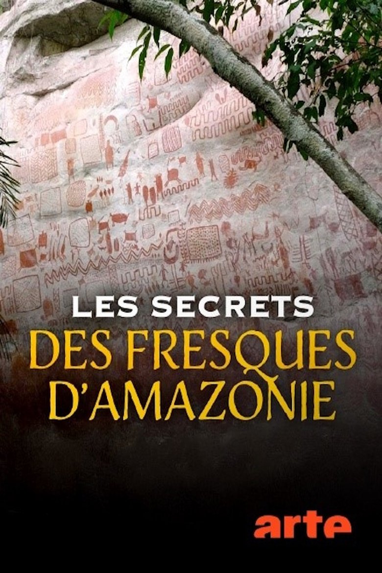 affiche du film Les secrets des fresques d'Amazonie