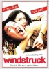 Windstruck (Nae yeojachingureul sogae habnida)