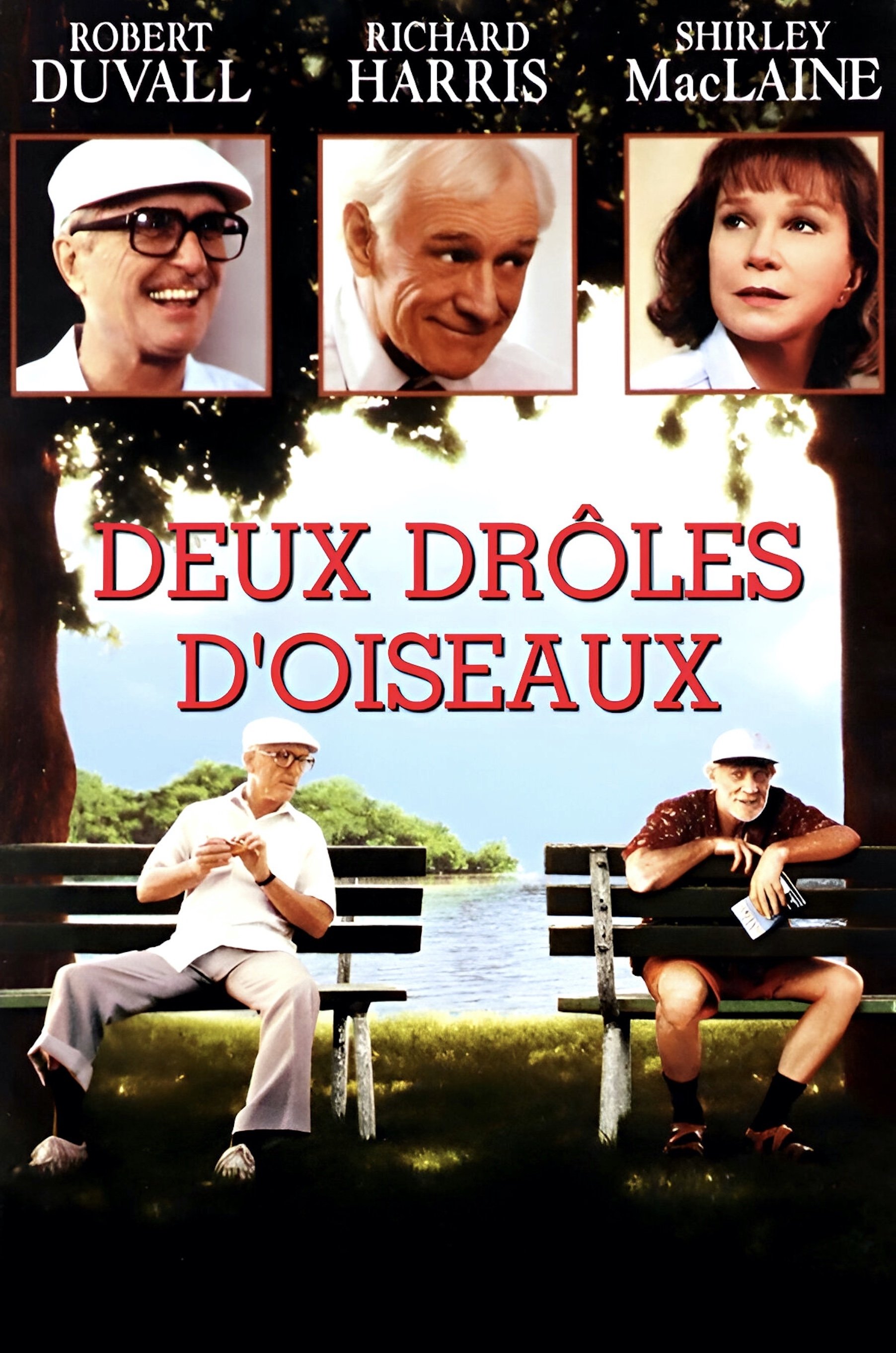 affiche du film Deux drôles d'oiseau