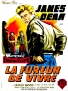 La fureur de vivre (Rebel Without a Cause)