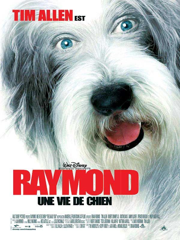 affiche du film Raymond