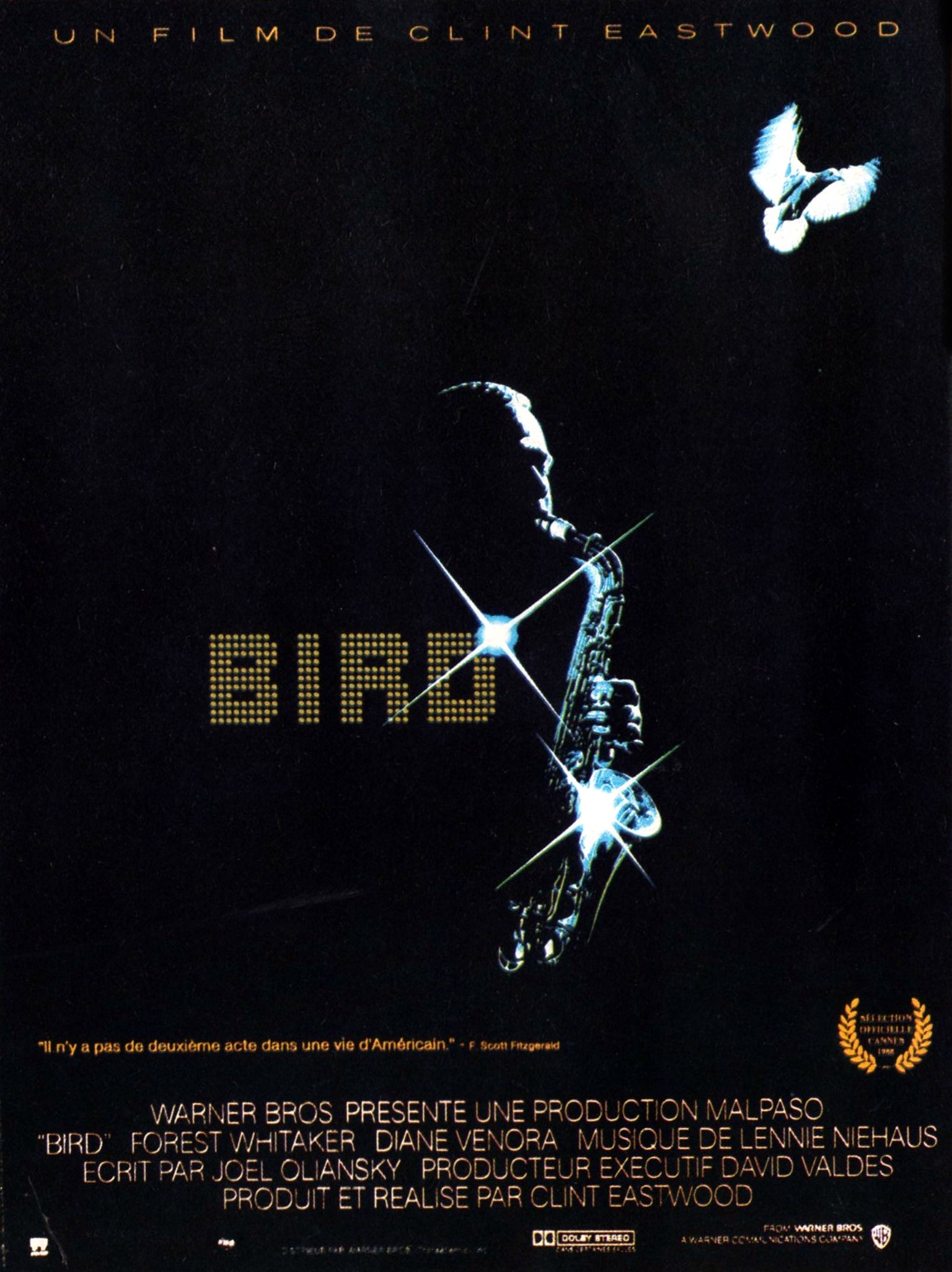 affiche du film Bird