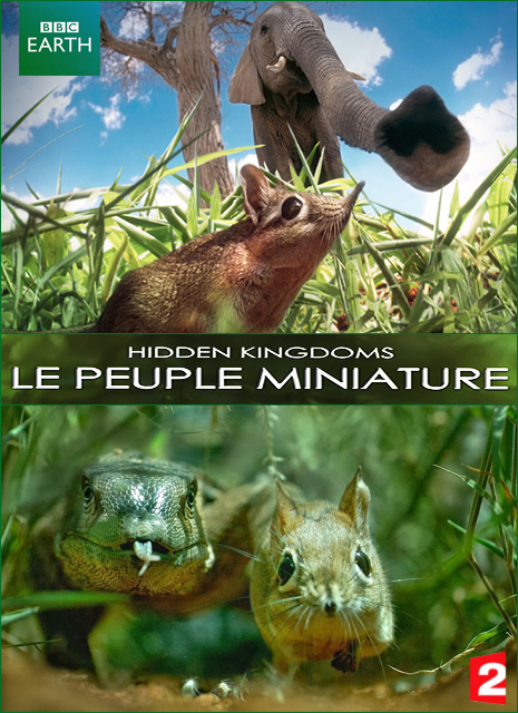 affiche du film Le Peuple miniature