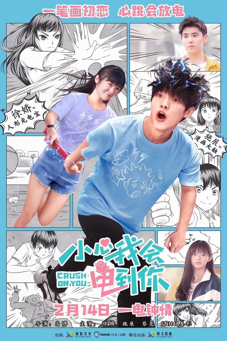 affiche du film Crush on You