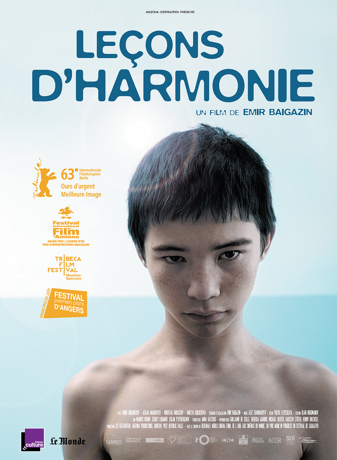 affiche du film Leçons d'harmonie