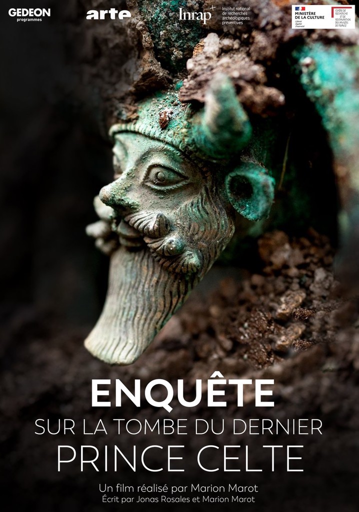 affiche du film Enquête sur la tombe du dernier prince celte