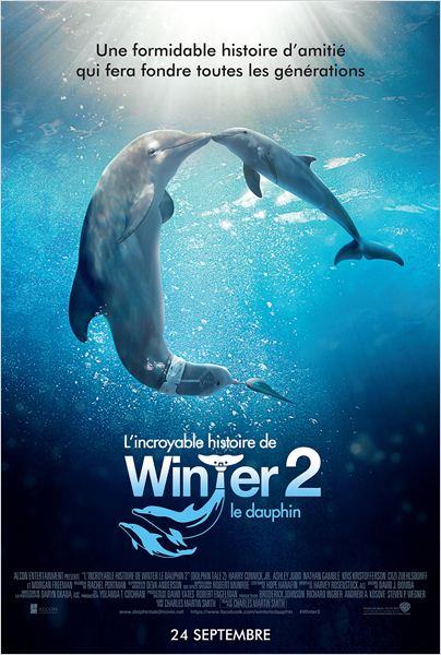 affiche du film L'incroyable histoire de Winter le dauphin 2
