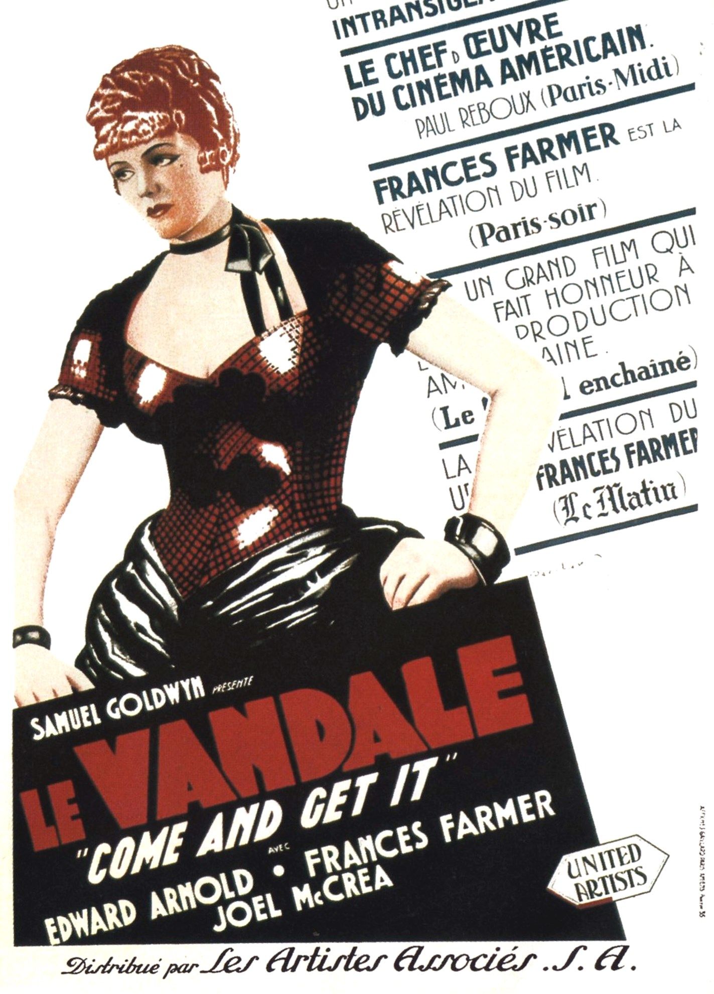 affiche du film Le Vandale