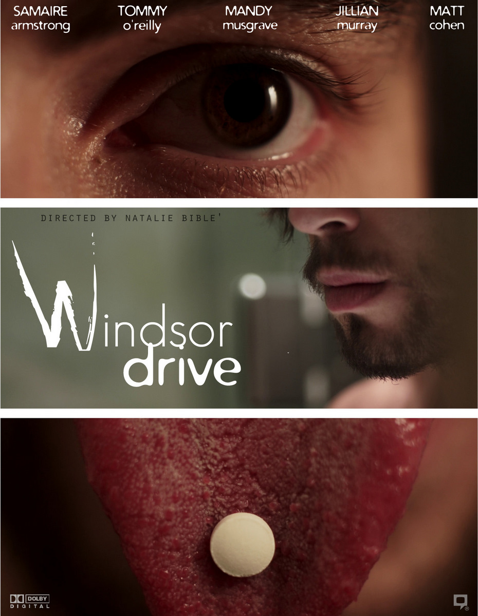 affiche du film Windsor Drive