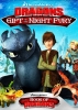 Le cadeau du Furie Nocturne (Dragons: Gift of the Night Fury)