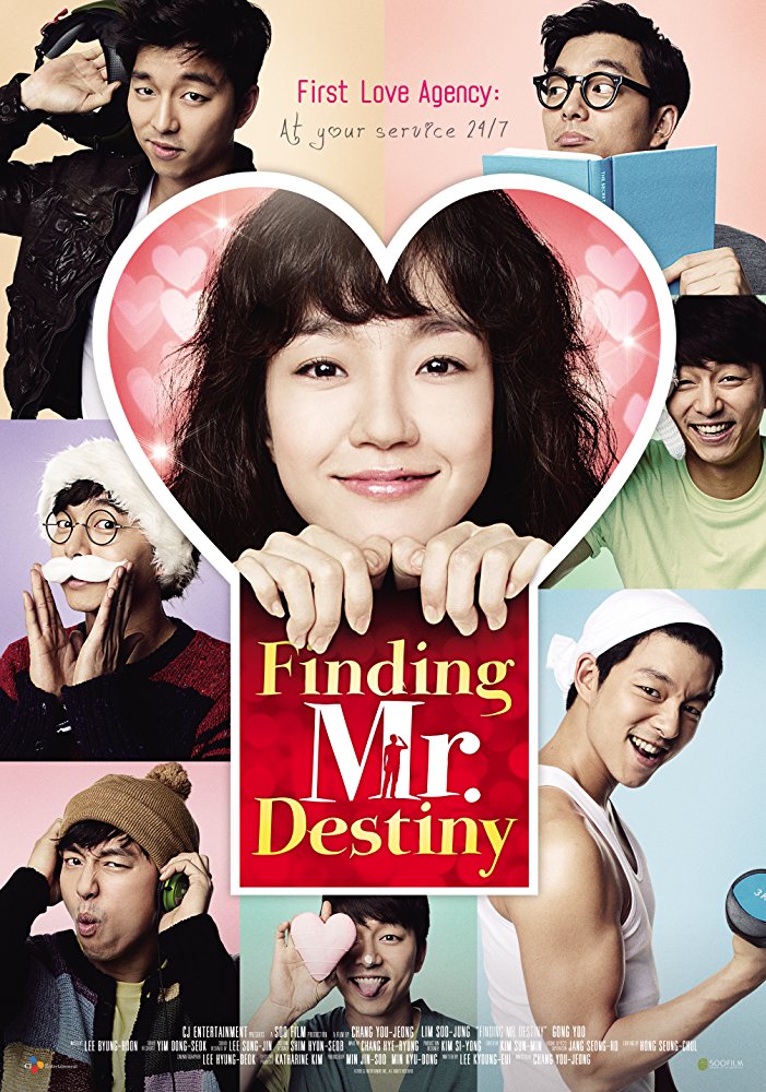 affiche du film Finding Mr. Destiny