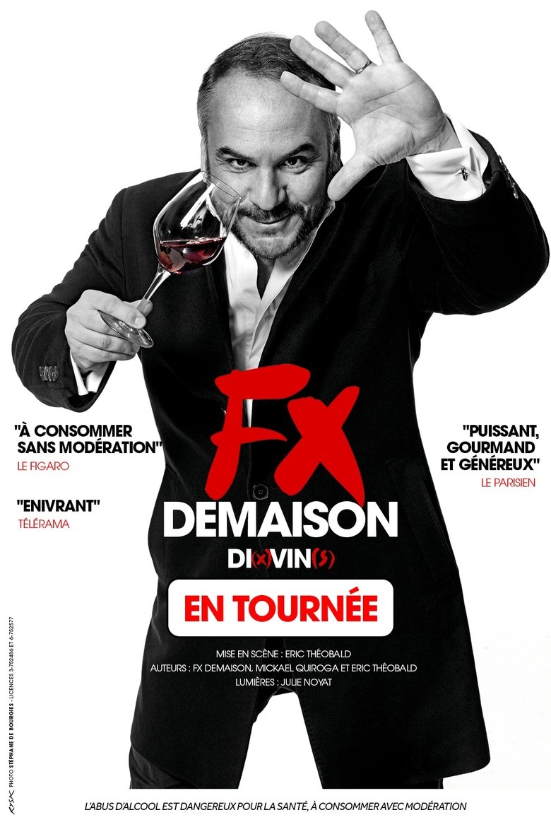affiche du film Francois-Xavier Demaison : Di(x)vin(s)