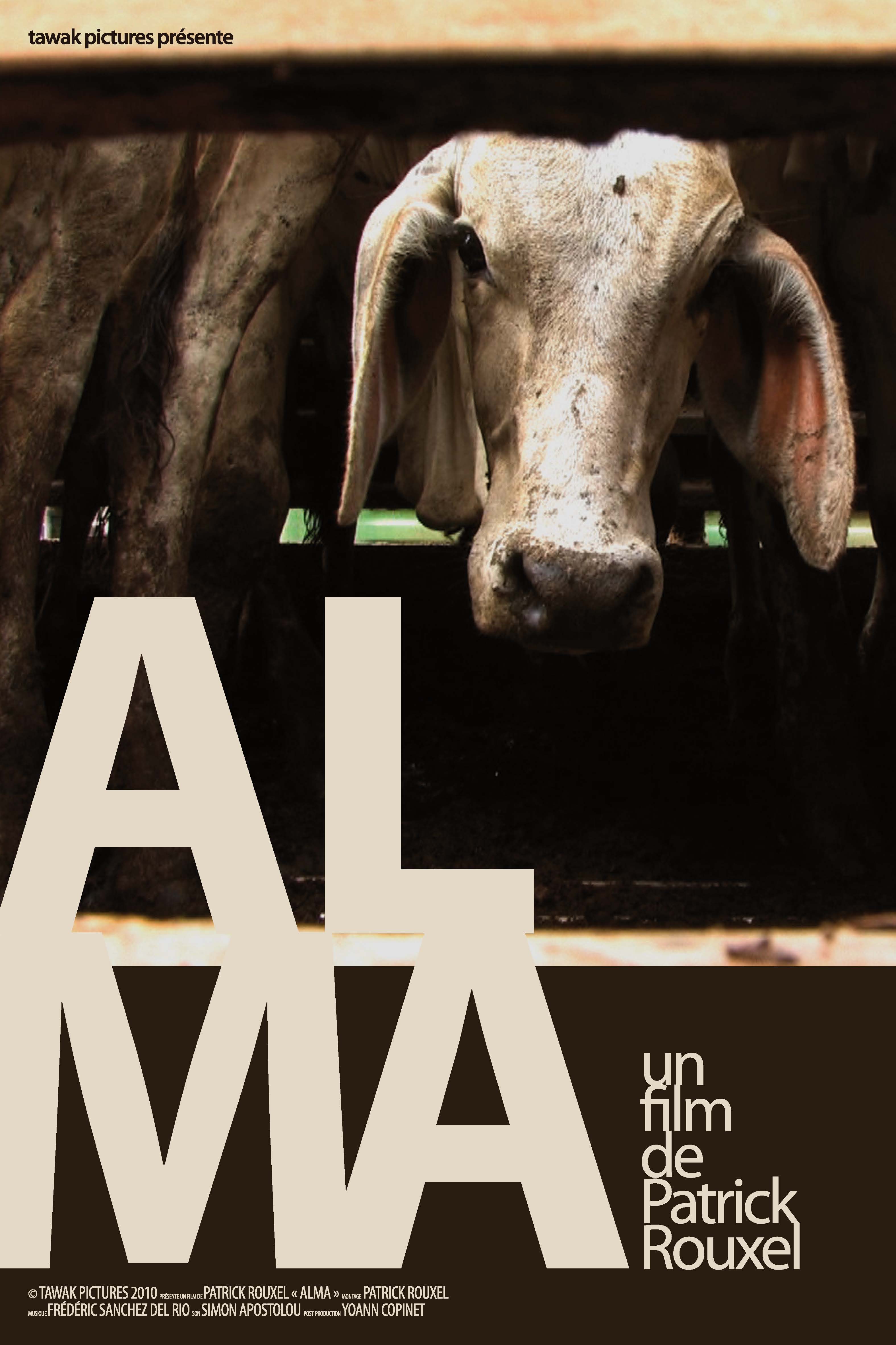 affiche du film Alma