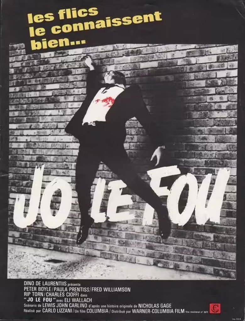affiche du film Jo le fou