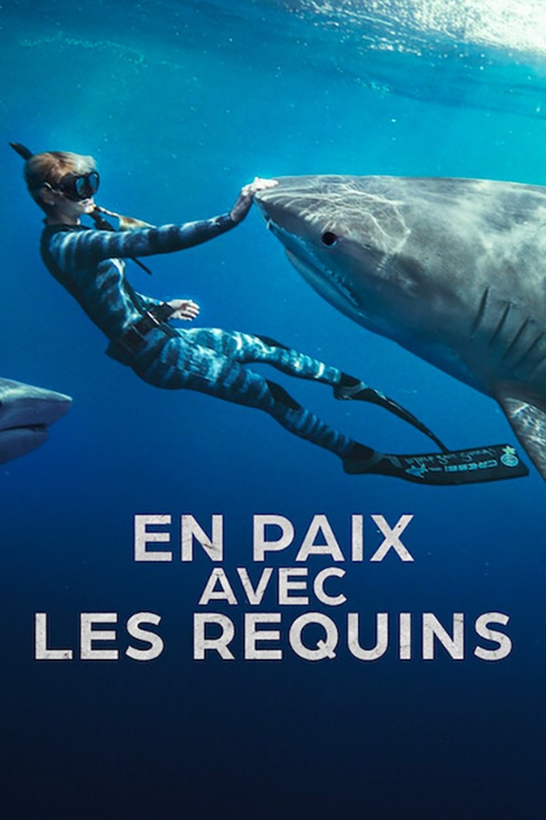 affiche du film En paix avec les requins