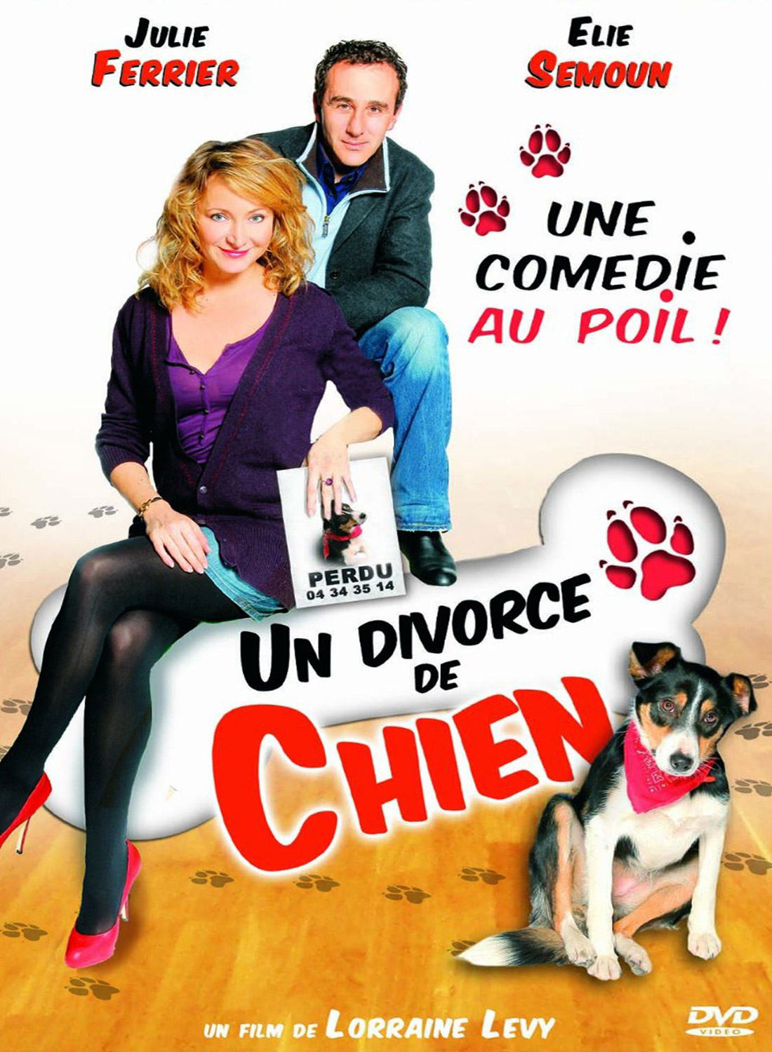 affiche du film Un divorce de chien