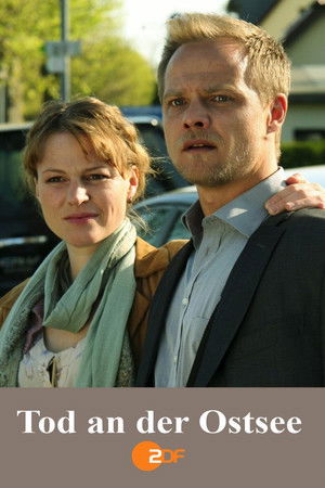 affiche du film Vengeance sans fin