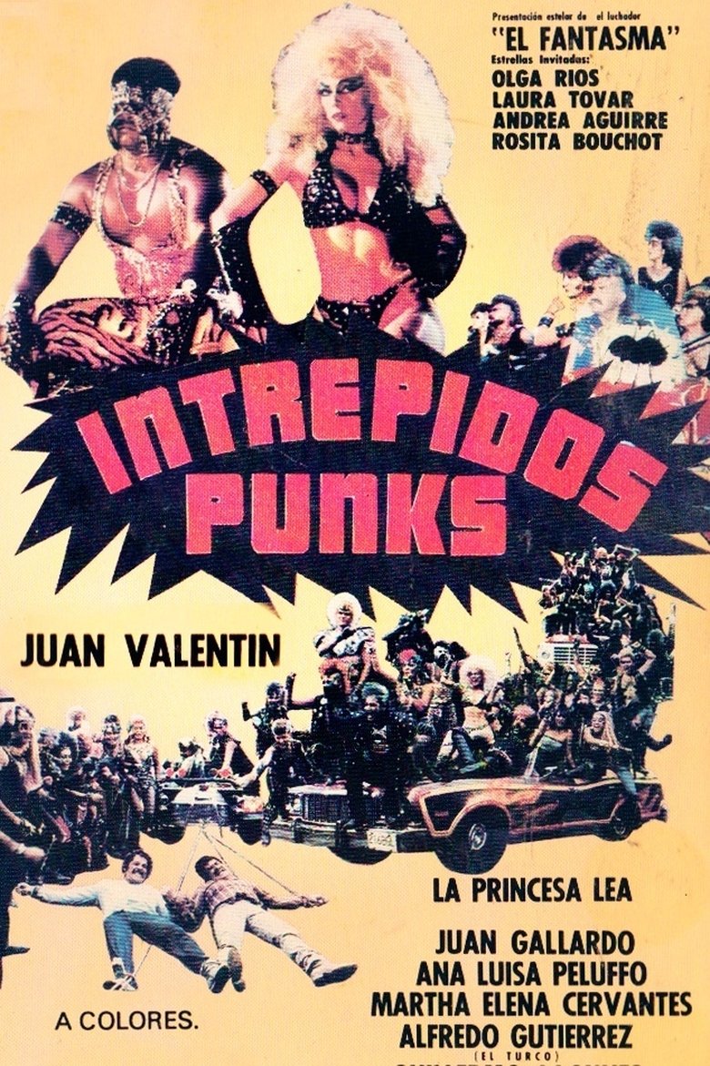 affiche du film Fearless Punks