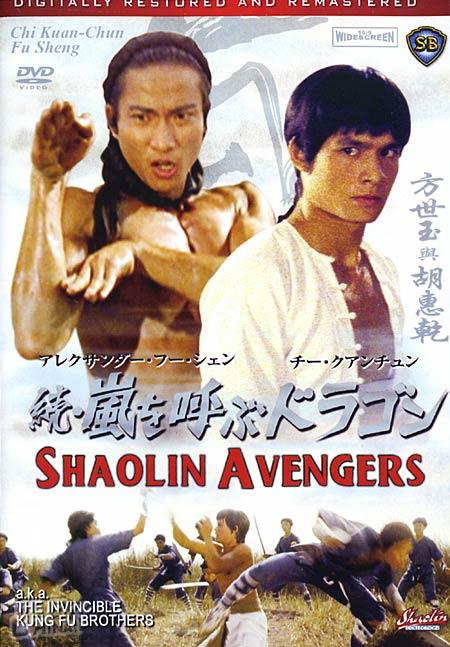 affiche du film The Shaolin Avengers