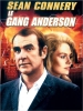 Le Gang Anderson (The Anderson Tapes)