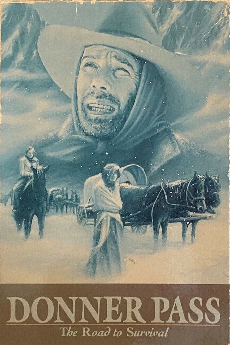 affiche du film La passe des neiges
